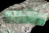 Beryl (Var: Emerald) Crystal in Schist & Graphite - Bahia, Brazil #44127-2